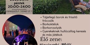 Éjszakai Piknik Cserkeszőlő 2026 - Kulturális és zenei programok