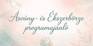 Pécsi Ásványbörze és Ékszerbörze 2026