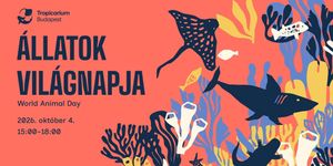 Állatok Világnapja Tropicarium 2026 Budapest 