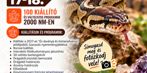 Kígyósimogató és kígyós fotózás Budapesten, különleges állatos program gyerekeknek és felnőtteknek