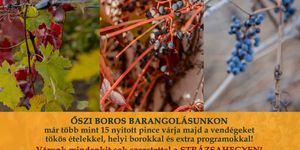 Tök jó program Monor 2026 - Barangolások a Monori Pincefalu nyitott pincéiben