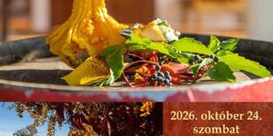 Tök jó program Monor 2026 - Barangolások a Monori Pincefalu nyitott pincéiben