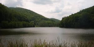 Hangonyi-tó