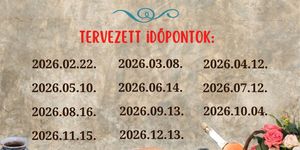 Hírös Kosár termelői és kézműves vásár 2026 Kecskemét 