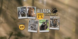 Állatok Világnapja Veresegyházi Medveotthon 2026