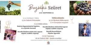 Buzsák programok 2026 - Események és rendezvények