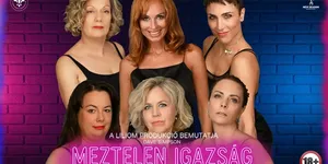 Meztelen igazság - zenés vígjáték