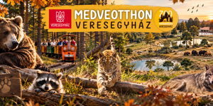 Látogatás a Veresegyházi Medveotthon területén 2026 – családi és edukatív programok