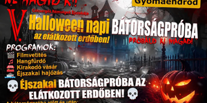 Gyomaendrőd programok 2026 - Események és rendezvények