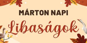 Márton-napi Libaságok Kisvárda 2026
