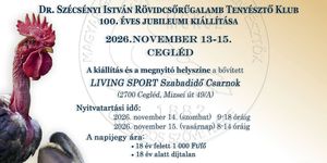 Ceglédi programok 2026 / 2027 - Fesztiválok, események, rendezvények
