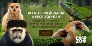 Állatok Világnapja Pécs 2026 Pécsi Zoo
