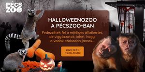 Pécsi állatkert Halloween 2026