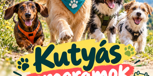 Kutyás programok 2026 - Események, rendezvények
