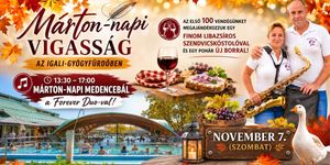 Márton-napi Vigasságok program 2026 Igal