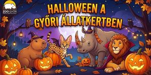 Halloween a Győri Állatkertben 2026