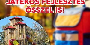 Szünidei program Budapest 2026 - Őszi szüneti élmények a Tarzan Parkban