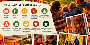Őszi szünet családi program varázslatos erdei kalandokkal, tökfaragással és egy igazán boszorkányos Halloween-partival 