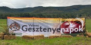 Velemi Gesztenyenapok 2026 - Gasztronómiai hagyományőrző ünnep és vásár