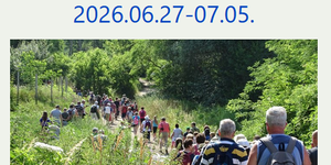 Mátrai Művészeti Napok 2026. Muzsikál az erdő