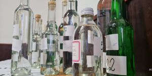 Kárászi Pálinkafesztivál 2026