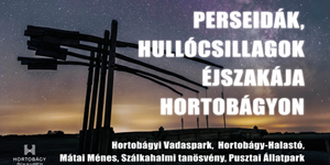 Hullócsillagok Éjszakája 2026 Hortobágy