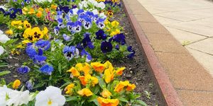 Csemő programok 2026 -  Események, rendezvények