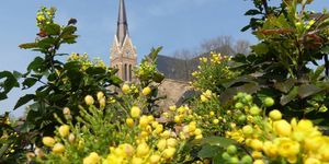 Bátaszéki programok 2026 - Események és rendezvények