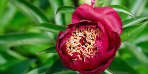 A kép illusztráció. Kép forrása: Pixabay.com