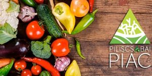 Piliscsabai piac 2026