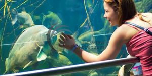 2026. október 23. programok Poroszló - Ünnepi látogatás a Tisza-tavi Ökocentrumban