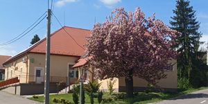 Ostoros programok 2026 - Események és rendezvények