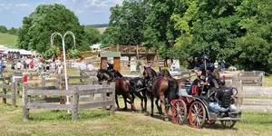 Fogathajtó Verseny Szilvásvárad 2026