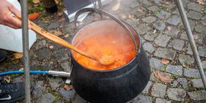 Gardália Tihany 2026 - A látott hal ünnepe 