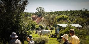 Krisna-völgy programok 2026 Somogyvámos