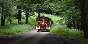 Bakonyi túrák kisvonattal, éljék át velünk az erdő csodáit!