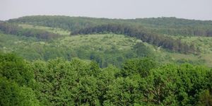 Bakonyi kirándulás 2026. Fedezze fel Bakonybél természeti értékeit!