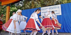 Vanyarci Haluskafesztivál 2026. Sztrapacskafőző verseny