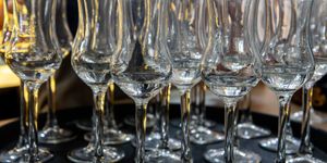 Pálinka Ünnep Velence 2026 - Országos Pálinka- és Törkölypálinka Verseny