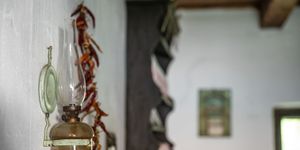 Múzeumi Világnap Nyíregyháza 2026 -  Tematikus programok, tárlatvezetések a Sóstói Múzeumfaluban