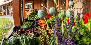 Piac Kóspallag 2026 - Pallagi Portékák Piaca