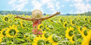 A kép illusztáció. A kép forrása: Pixabay.com