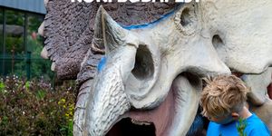 Paleontológiai játszótér Budapesten, élményprogram kis tudósoknak a KÖKI DinoParkban