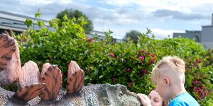 Osztálykirándulás Budapesten oktató- és élményprogramokkal, látogatás a KÖKI DinoParkban