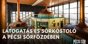 Pécsi sörtúra 2026. Pécsi Sör főzdelátogatás sörkóstolással 