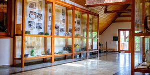 Sorkatonaság története, állandó kiállítás a Pákozdi Katonai Emlékparkban