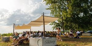 Borpiknik Eger 2026 - Tóthék Piknik a Síkhegyen