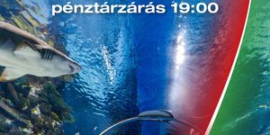 2026. augusztus 20 Budapest Tropicarium látogatás