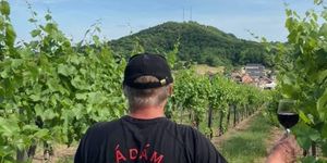 Borkóstoló pincetúra Szekszárdon az Ádám Pincészetben