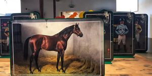 Lovas múzeum kiállítás Keszthelyen, az emlékmúzeum bemutatja a Festeticsek és a lótenyésztés kapcsolatát